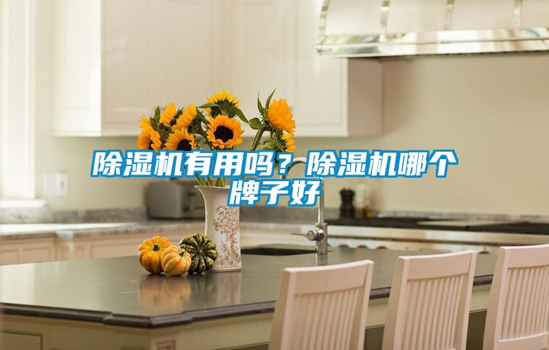 除濕機(jī)有用嗎?除濕機(jī)哪個(gè)牌子好