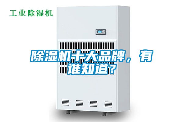 除濕機十大品牌，有誰知道？