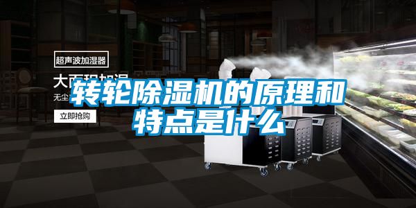 轉輪除濕機的原理和特點是什么