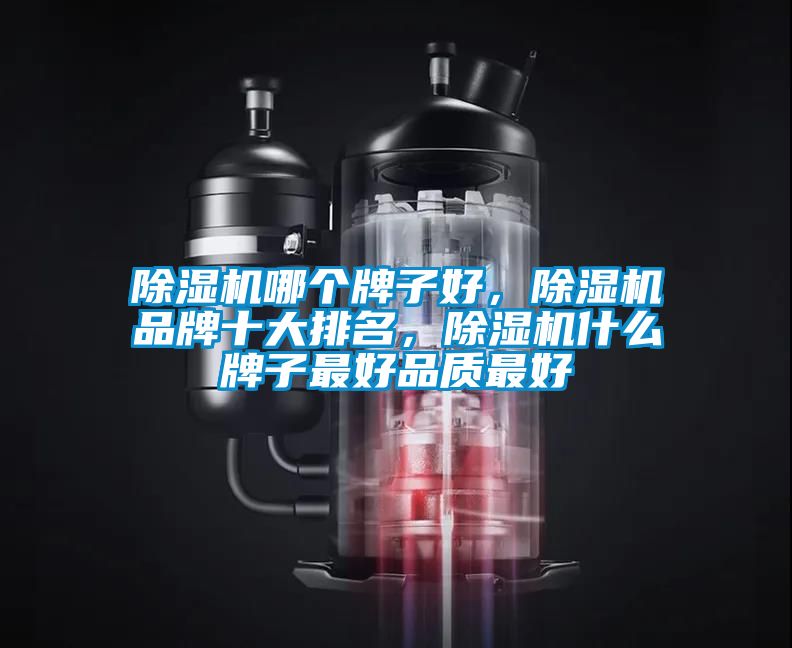 除濕機哪個牌子好，除濕機品牌十大排名，除濕機什么牌子最好品質最好