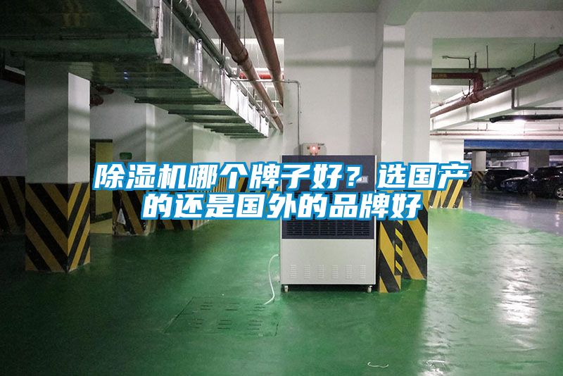 除濕機哪個牌子好？選國產(chǎn)的還是國外的品牌好
