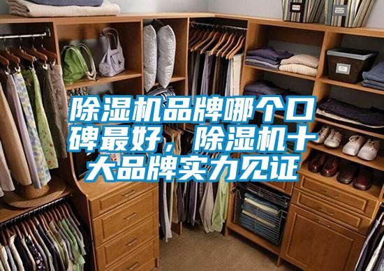 除濕機(jī)品牌哪個(gè)口碑最好,除濕機(jī)十大品牌實(shí)力見證