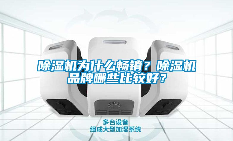 除濕機為什么暢銷？除濕機品牌哪些比較好？