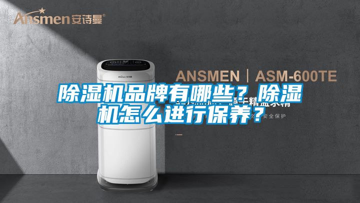 除濕機(jī)品牌有哪些？除濕機(jī)怎么進(jìn)行保養(yǎng)？