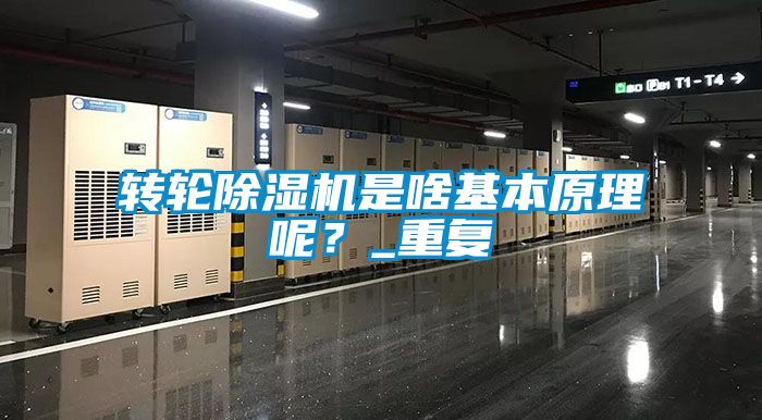 轉輪除濕機是啥基本原理呢?_重復