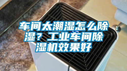 車間太潮濕怎么除濕?工業(yè)車間除濕機效果好