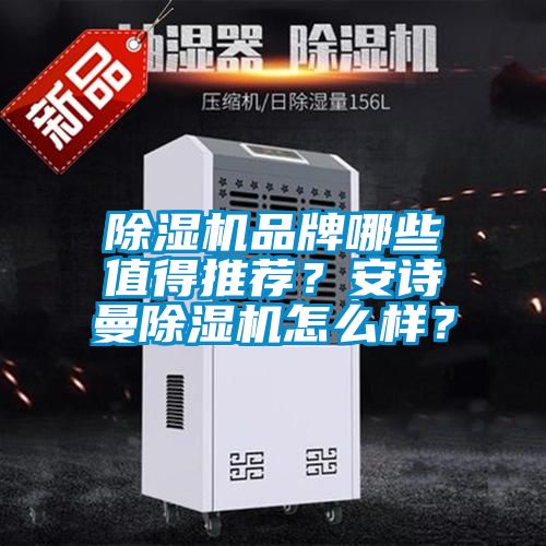 除濕機品牌哪些值得推薦？安詩曼除濕機怎么樣？