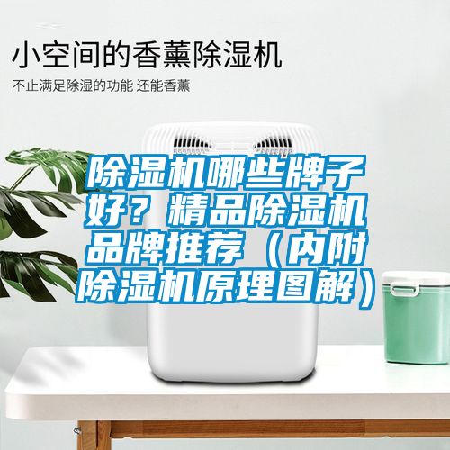 除濕機哪些牌子好？精品除濕機品牌推薦（內附除濕機原理圖解）