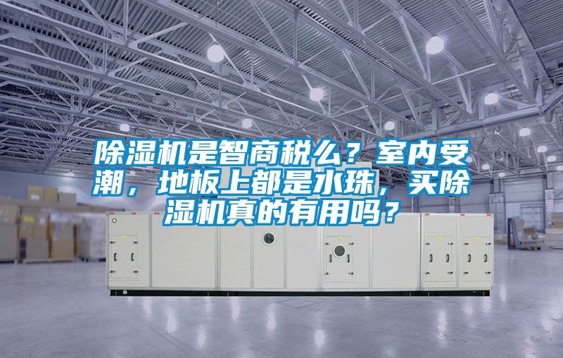 除濕機是智商稅么？室內受潮，地板上都是水珠，買除濕機真的有用嗎？