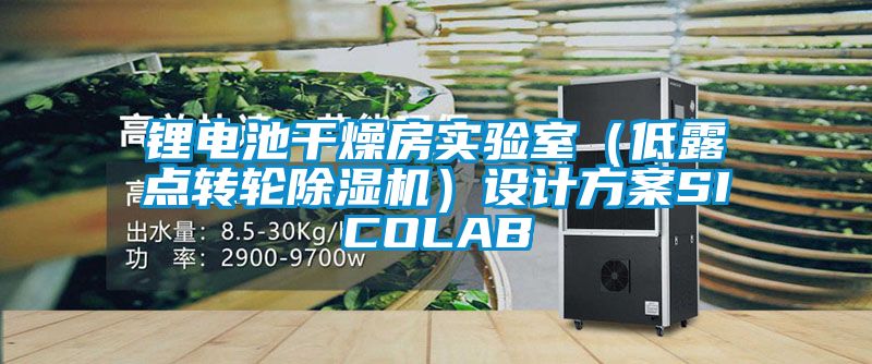 鋰電池干燥房實(shí)驗(yàn)室(低露點(diǎn)轉(zhuǎn)輪除濕機(jī))設(shè)計(jì)方案SICOLAB