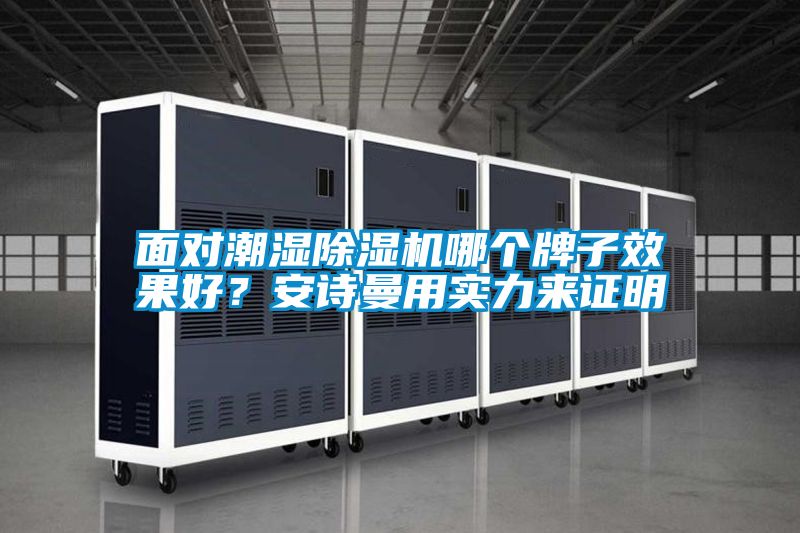 面對潮濕除濕機哪個牌子效果好？安詩曼用實力來證明