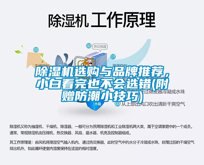 除濕機(jī)選購與品牌推薦，小白看完也不會(huì)選錯(cuò)(附贈(zèng)防潮小技巧)