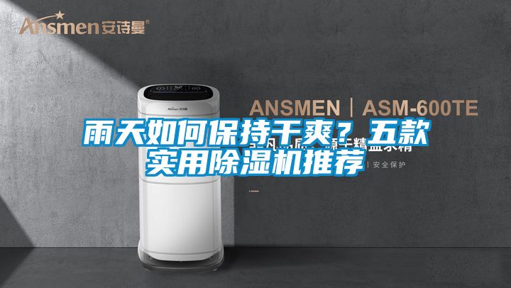 雨天如何保持干爽？五款實用除濕機推薦