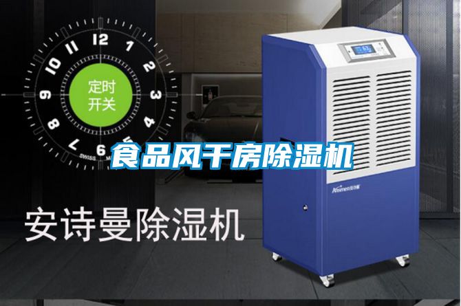 食品風(fēng)干房除濕機