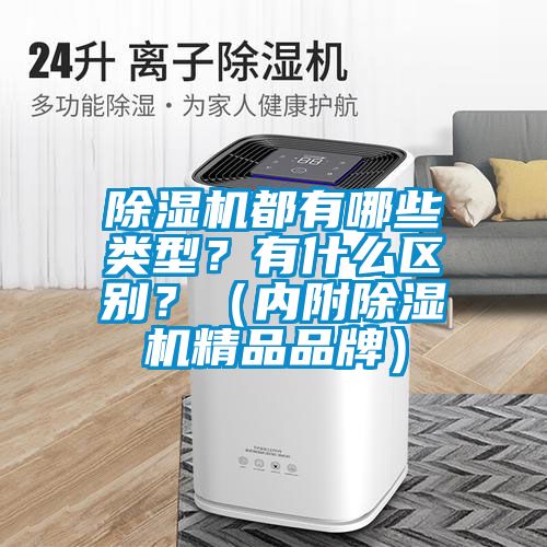 除濕機都有哪些類型？有什么區別？（內附除濕機精品品牌）