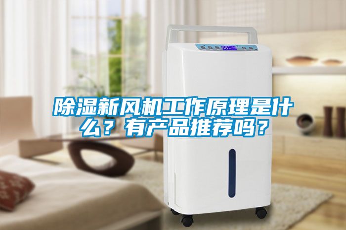 除濕新風機工作原理是什么？有產(chǎn)品推薦嗎？