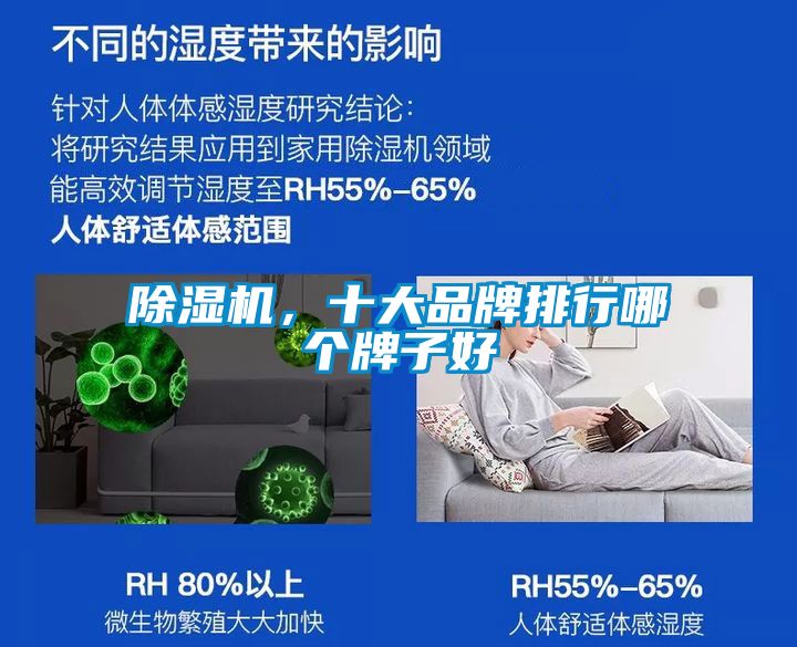 除濕機，十大品牌排行哪個牌子好