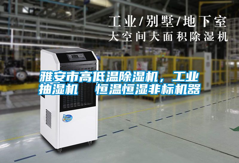 雅安市高低溫除濕機，工業抽濕機  恒溫恒濕非標機器