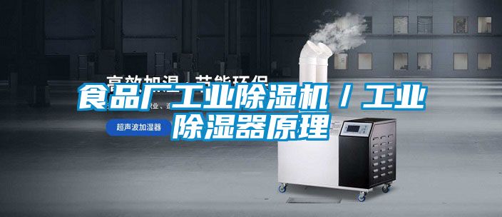 食品廠工業(yè)除濕機/工業(yè)除濕器原理